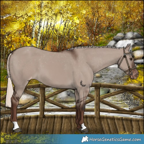 Horse Color:Liver Red Dun Mushroom Varnish