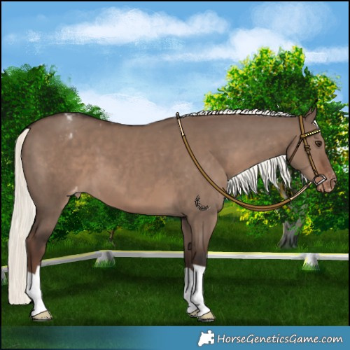 Horse Color:Liver Red Dun Mushroom Varnish