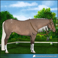 Horse Color:Liver Red Dun Mushroom Varnish 
