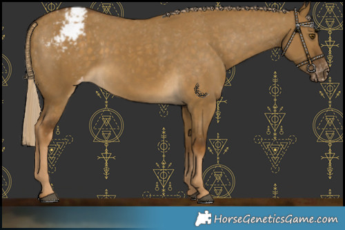 Horse Color:Chocolate Palomino Dun Mushroom Varnish
