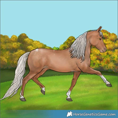Horse Color:Silver Brown Pearl Tobiano 