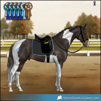 Horse Color:Liver Chestnut Tobiano 