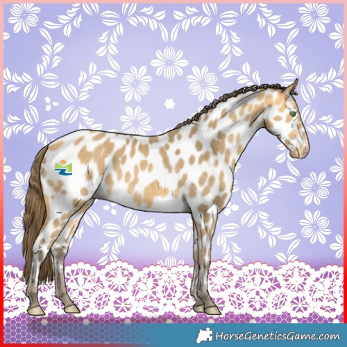 Horse Color:Sable Cream Champagne Near Leopard 