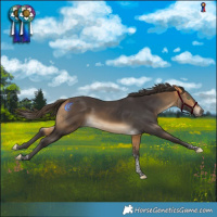 Horse Color:Buckskin Tobiano 