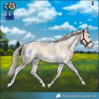 Horse Color:White Spotted Perlino Tobiano 