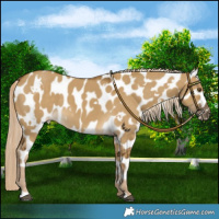 Horse Color:White Spotted Chocolate Palomino Dun Mushroom Near Leopard 