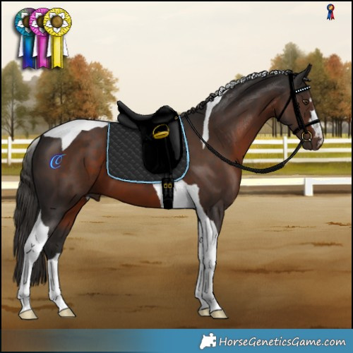 Horse Color:Liver Chestnut Tobiano 