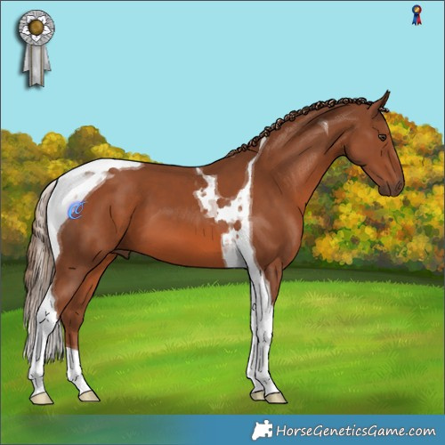 Horse Color:Chestnut Tobiano
