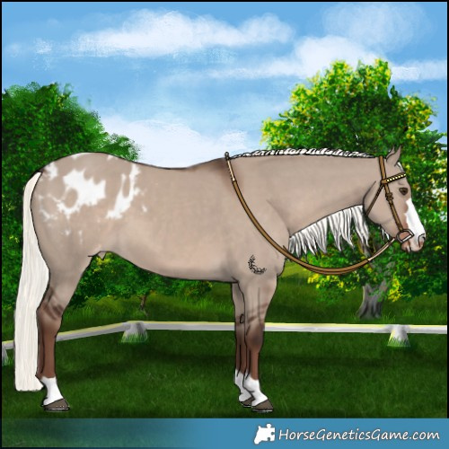 Horse Color:Liver Red Dun Mushroom Blanket 