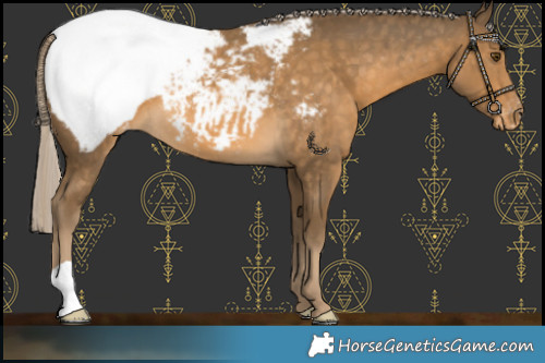 Horse Color:Chocolate Palomino Mushroom Snowcap