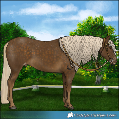 Horse Color:Chocolate Palomino Mushroom Varnish 