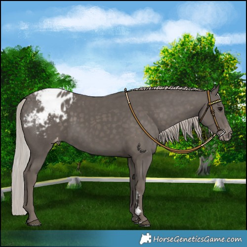 Horse Color:Silver Black Mushroom Blanket 