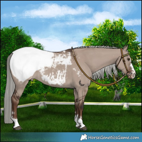 Horse Color:Liver Red Dun Mushroom Snowcap 