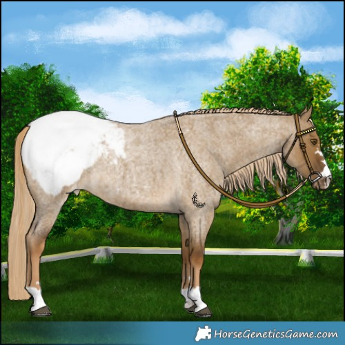 Horse Color:Chocolate Palomino Roan Dun Mushroom Snowcap Brindle