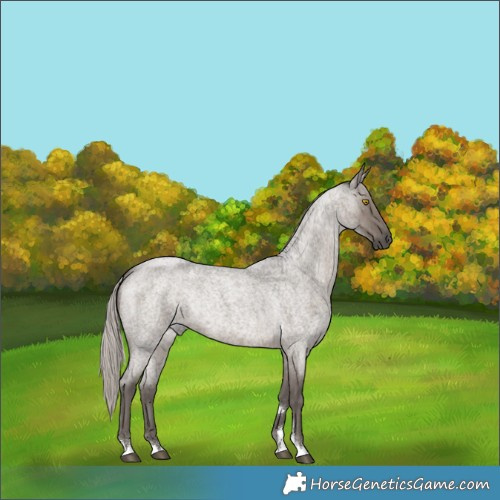 Horse Color:Silver Grullo Roan Rabicano Brindle 