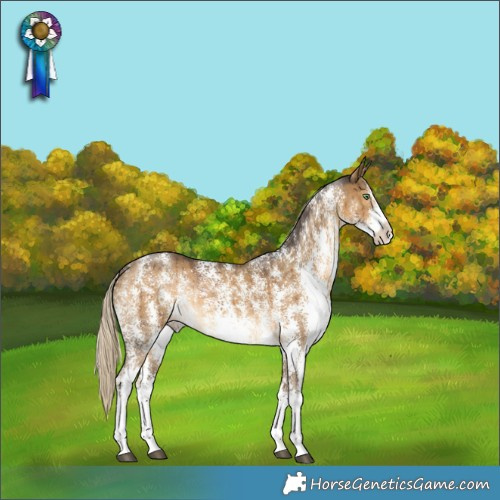 Horse Color:Chocolate Palomino Dun Sabino Rabicano Brindle 
