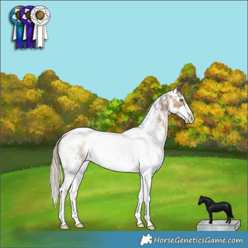 Horse Color:Chocolate Palomino Sabino 