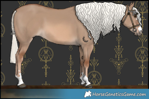 Horse Color:Red Dun Mushroom 