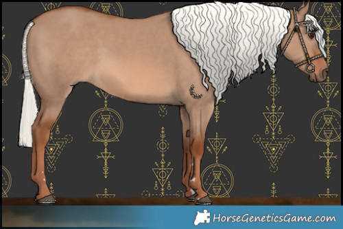 Horse Color:Red Dun Mushroom 