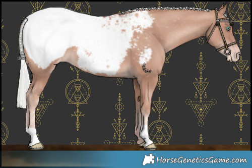 Horse Color:Gold Champagne Mushroom Snowcap 