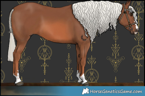 Horse Color:Chestnut Mushroom 