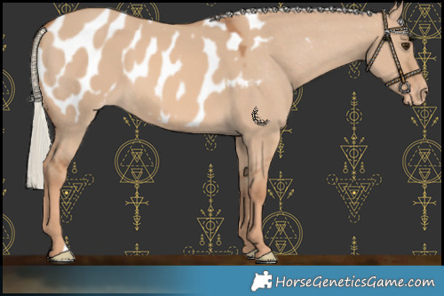Horse Color:Red Dun Mushroom Blanket 