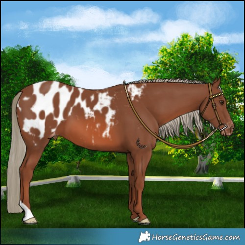 Horse Color:Chestnut Mushroom Blanket