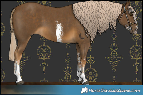 Horse Color:Chocolate Palomino Mushroom Sabino