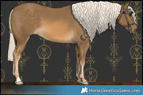 Horse Color:Chocolate Palomino Mushroom 