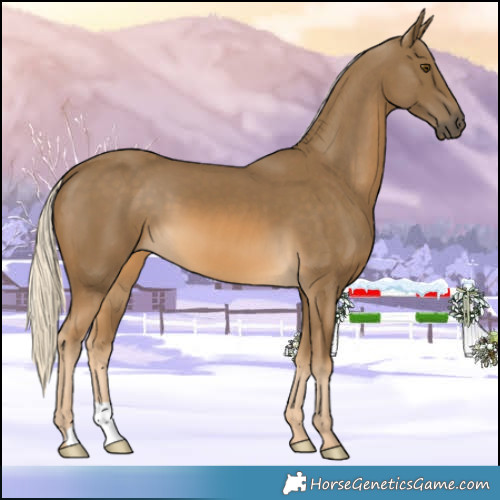 Horse Color:Chocolate Palomino Mushroom 