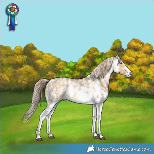 Horse Color:Chocolate Palomino Dun Sabino Brindle