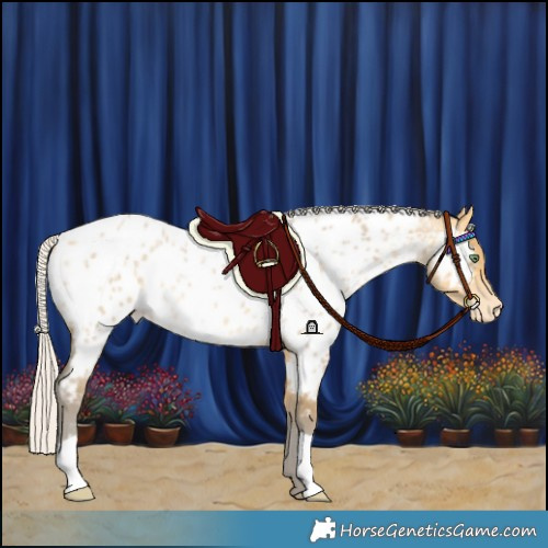 Horse Color:Silver Amber Cream Champagne Roan Near Leopard 
