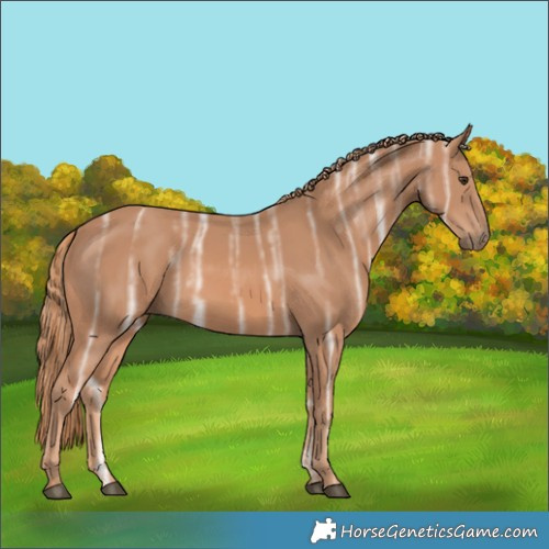 Horse Color:Chestnut Ice Rabicano