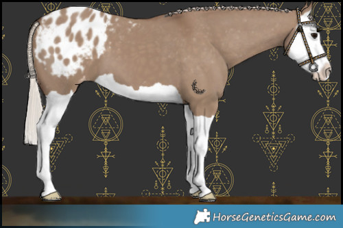 Horse Color:Silver Grullo Splash Blanket 