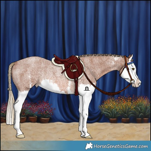 Horse Color:Red Roan Sabino Splash Rabicano