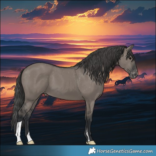 Horse Color:Grullo Varnish