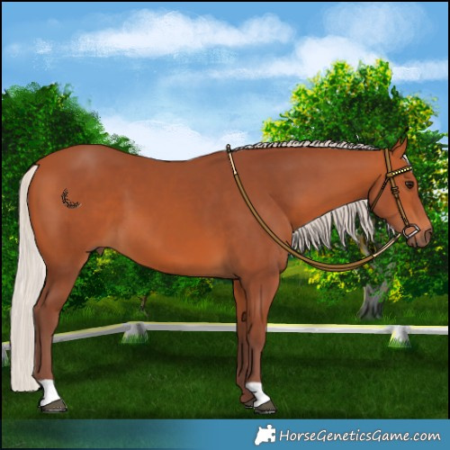 Horse Color:Chocolate Silver Bay 