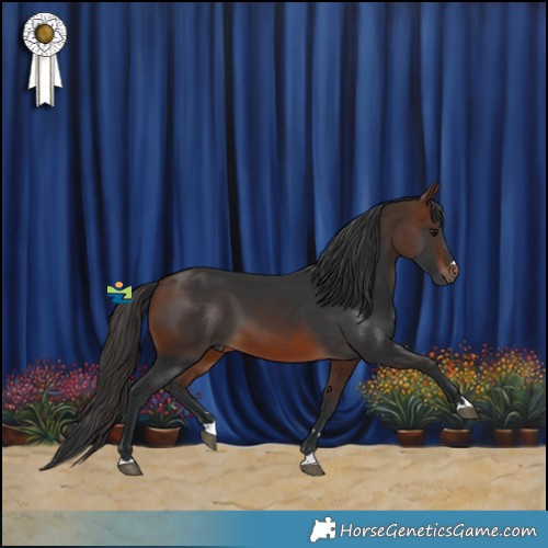 Horse Color:Brown 