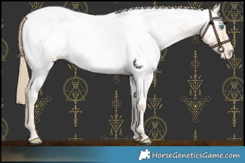 Horse Color:Perlino Near Fewspot 