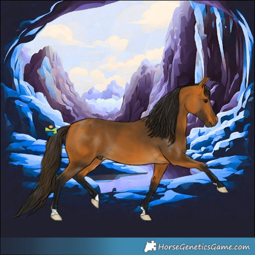 Horse Color:Gray Buckskin
