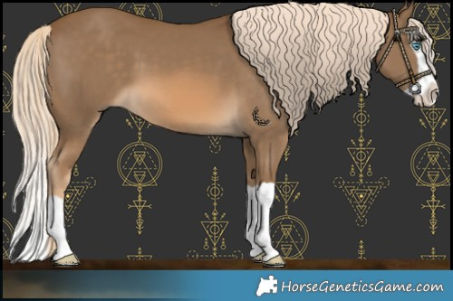 Horse Color:Chocolate Palomino Splash 