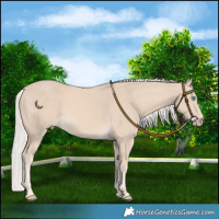 Horse Color:Cremello 