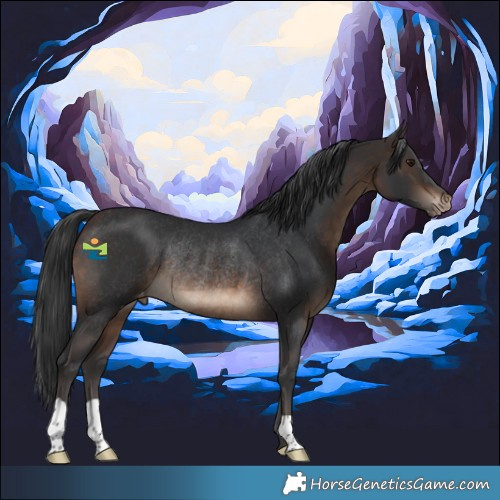 Horse Color:Brown Varnish Rabicano