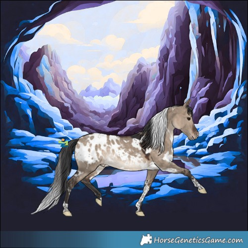 Horse Color:White Spotted Brown Dun Blanket Rabicano 