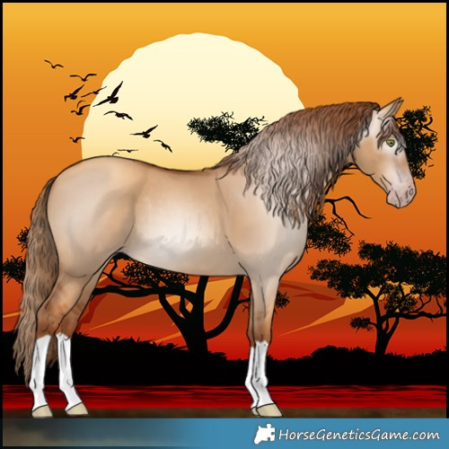 Horse Color:Gray Gold Champagne Dun 