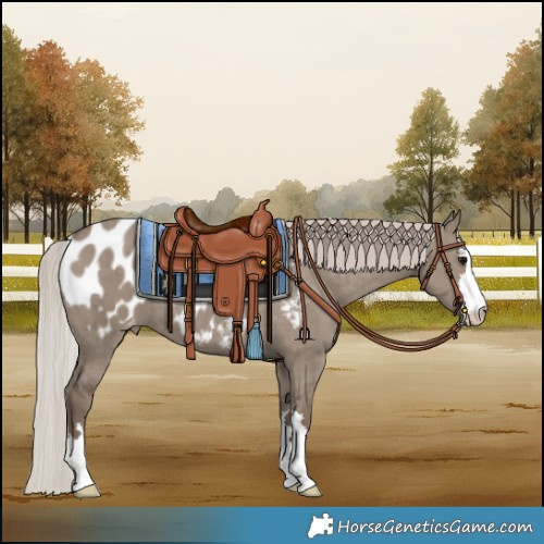 Horse Color:Silver Grullo Blanket Brindle 