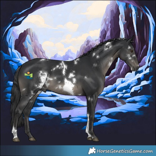Horse Color:White Spotted Black Tobiano 