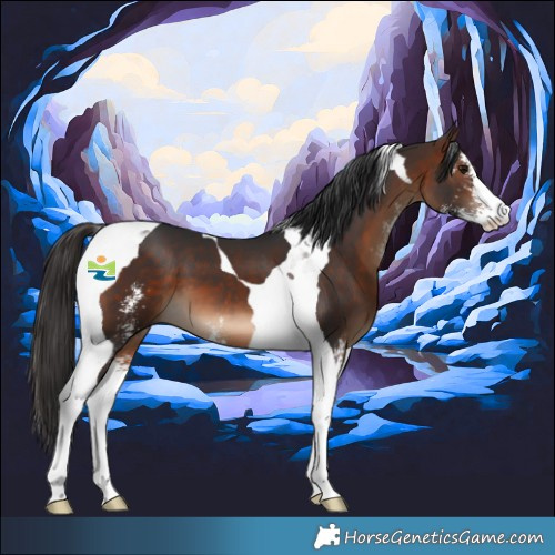 Horse Color:Brown Sabino Tobiano 