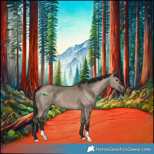 Horse Color:Brown Dun