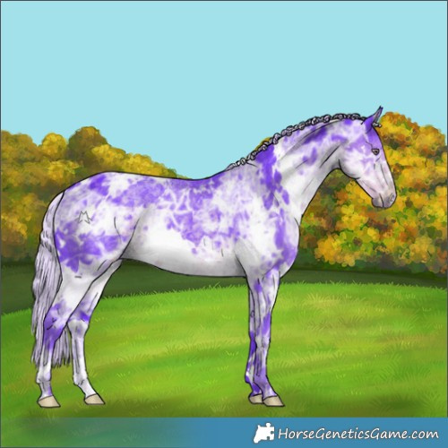 Horse Color:Watercolor White Spotted Chocolate Silver Smoky Black Chinchilla Ice